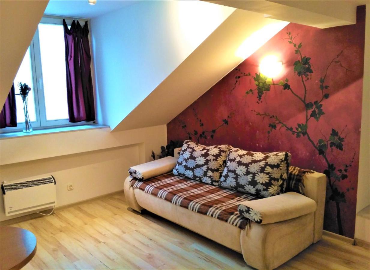 Krakow City Centre Apartment - Bon Turystyczny 外观 照片