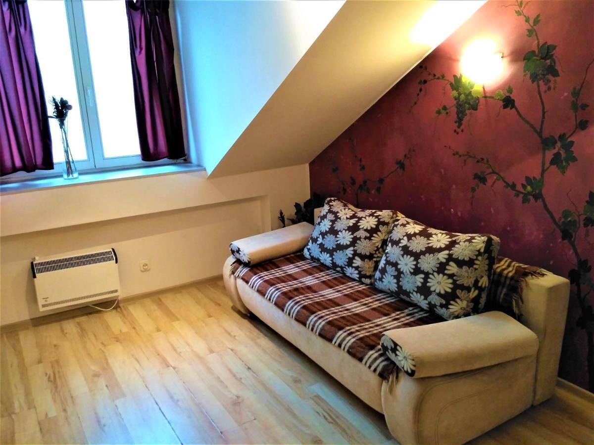 Krakow City Centre Apartment - Bon Turystyczny 外观 照片